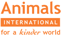 animalsinternational